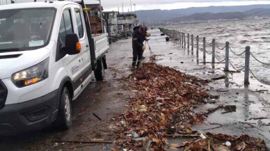 Kocaeli sahillerinden 100 kamyon atık toplandı