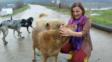 'Kapınızı Sokak Hayvanlarına Açın, Temizliği Biz Yapalım'