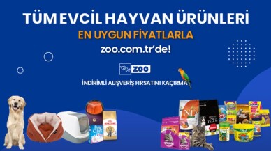 Kedi Maması ve Kedi Malzemeleri Ekonomik Fiyatlarla Zoo.com.tr ‘de!