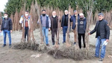 Kocaeli Büyükşehir’in yüzde 50 hibeli fidan dağıtımı başladı