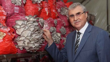 Sakarya Büyükşehir ‘İstiridye Mantarı Üretim Tesisi’ inşa ediyor