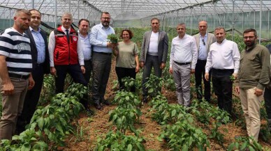 İzmit Dağköy’de araka hasat şenliği düzenlendi