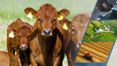 Çiftçilere 3,3 Milyar Liralık Destek Ödemesi Başladı