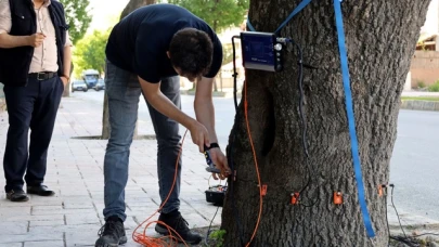 Elektrik Sensörlü Sonik Ağaç Tomografi Cihazı yeşil cennetin tomografisini çekecek