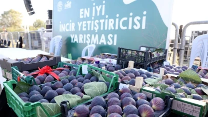 11. Akçalar İncir Festivali 14 Eylül’de başlıyor
