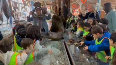 Minikler mumya balıkları büyük bir ilgiyle inceledi