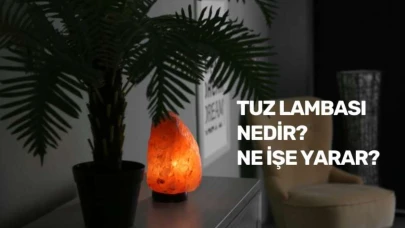 Tuz Lambası Nedir? Ne İşe Yarar? İşte Detaylar!