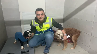 Büyükşehir, her zaman can dostların yanında