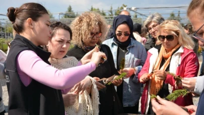 BAÇEM’de Tıbbi ve Aromatik Bitkiler Yetiştiriciliği Kursu ilgi gördü
