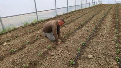 Kocaeli'de Seracılık Devrimi: Modern Seralarla Tarımda Çığır Açılıyor