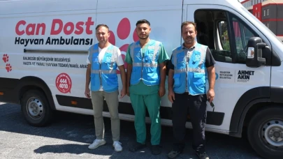 Can Dost Ambulansı yangından etkilenen hayvanlar için Bursa’da