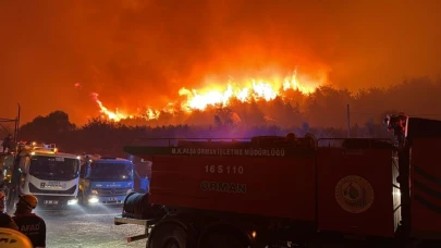 Bursa’da 3 bin hektar zarar gördü