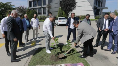 SATSO’dan anlamlı etkinlik: İlk doku kültürü Akça ağacı dikildi
