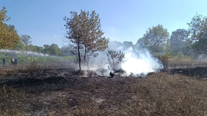 Bilecik Pazaryeri’nde arazi yangını çıktı