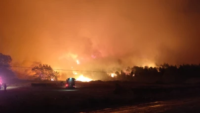 Karacabey'de orman yangınını söndürme çalışmaları sürüyor