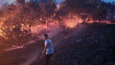 Sakarya’da makilik alanda çıkan yangın söndürüldü