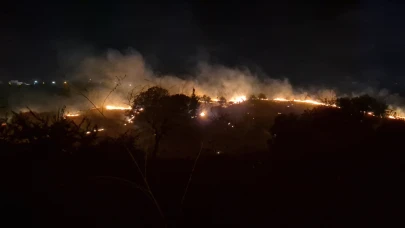 Tekirdağ'da geniş alana yayılan yangın kontrol altına alındı