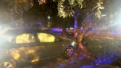 Kontrolden çıkan otomobil zeytin bahçesine girdi: 1 yaralı