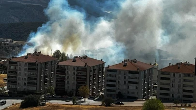 Salça yaparken çıkan kıvılcımla 30 dönüm makilik alanı kül oldu