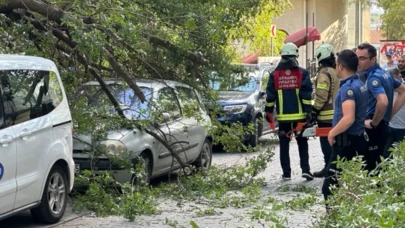 Ağaç dalı iki otomobilin üzerine devrildi