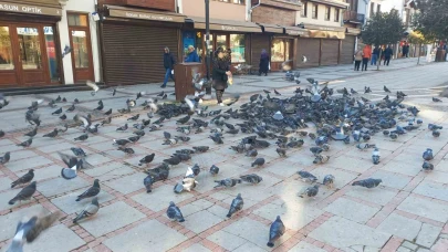 Soğukta üşüyen kuşlar için 5 kilometrelik şefkat yolculuğu
