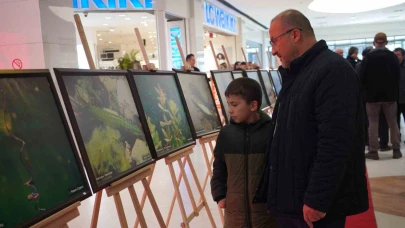 Sapanca Gölü fotoğrafları Gazze için umuda dönüştü