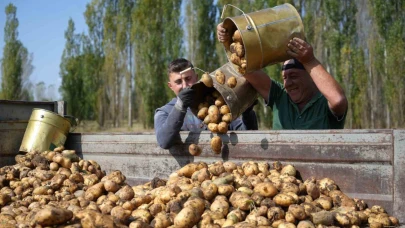 Tarım-GFE yıllık yüzde 34,24 arttı