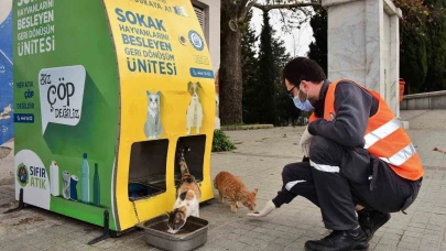 Yıldırım Belediyesi’nden sokak hayvanlarına sıcak yuva