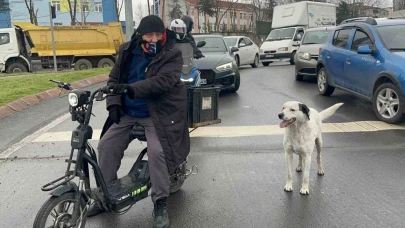 Çarşı pazar peşinden ayrılmıyor