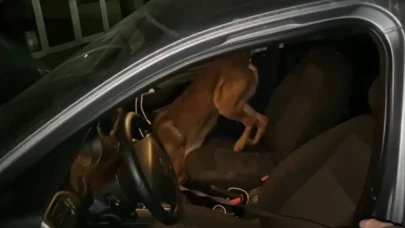 Polis uyuşturucuya geçit vermiyor: 2 ilçede 7 şüpheli gözaltına alındı