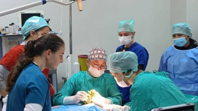 Veteriner Fakültesinde 3 bin hayvana şifa