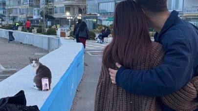 Bursa sahilinde ilginç fotoğraf çözümü: Tripod yerine kedi kullandılar