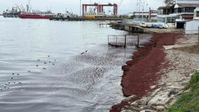 Poyraz sahili kırmızıya boyadı
