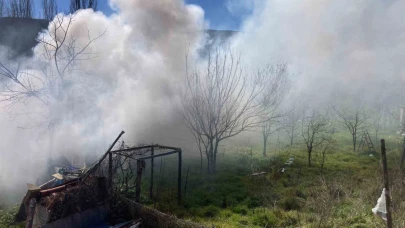 Bilecik’te bağ evinde çıkan yangın korkuttu