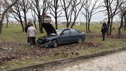 Kontrolden çıkan otomobil ağaçlık alana daldı: 1 yaralı