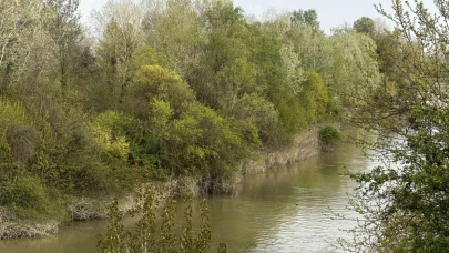 Sakarya Nehri’ne düşen çocuk didik didik aranıyor