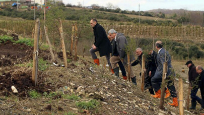 Kandıra’nın eski çöplüğü ‘’Kent Ormanı’’ oluyor