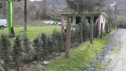 Sapanca Akçay Mahallesinde peyzaj çalışmaları sürüyor