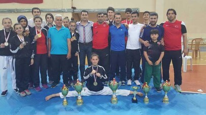 İllerarası Taek-Wondo Turnuvası Sakarya'da yapıldı