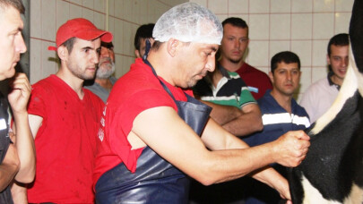 Acemi kasaplara uyarı