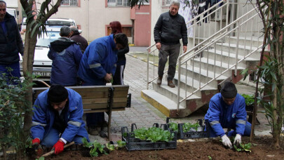 Kağıthane'de site bahçelerinin kışlık bakımları yapıldı