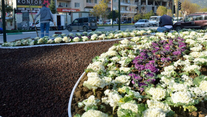 Gemlik renkleniyor