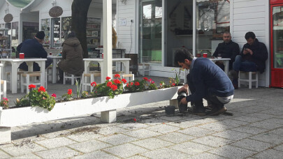 SAÜ'lü Öğrenciler Sanat Sokağı’nı Çiçeklerle Donattı