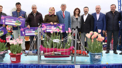 Kocaeli Lale Festivali’nin en güzel laleleri seçildi
