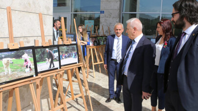 Can dostların yaşam mücadelesi bu fotoğraflarda