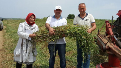 Kocaeli Büyükşehir’in tohum desteği ile verim arttı