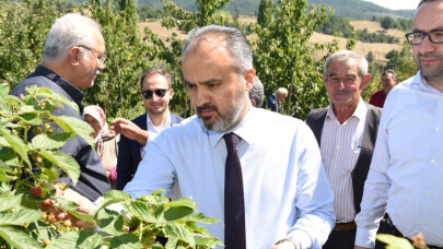 Dağ yöresinde hasat zamanı