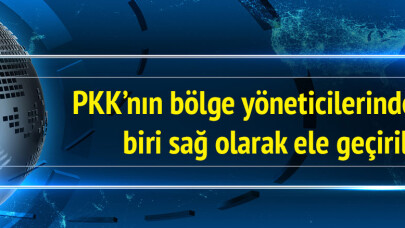 PKK’nın bölge yöneticilerinden biri sağ olarak ele geçirildi