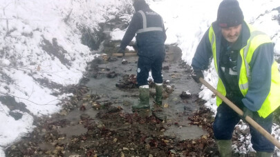 Güneyyaka Deresi temizlendi