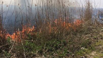 İznik’te sazlık yangını